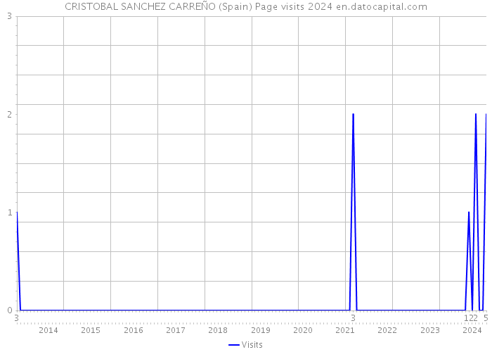 CRISTOBAL SANCHEZ CARREÑO (Spain) Page visits 2024 