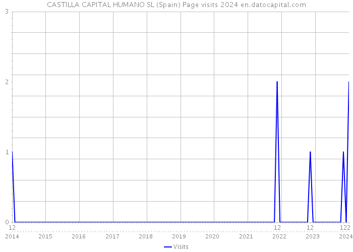 CASTILLA CAPITAL HUMANO SL (Spain) Page visits 2024 