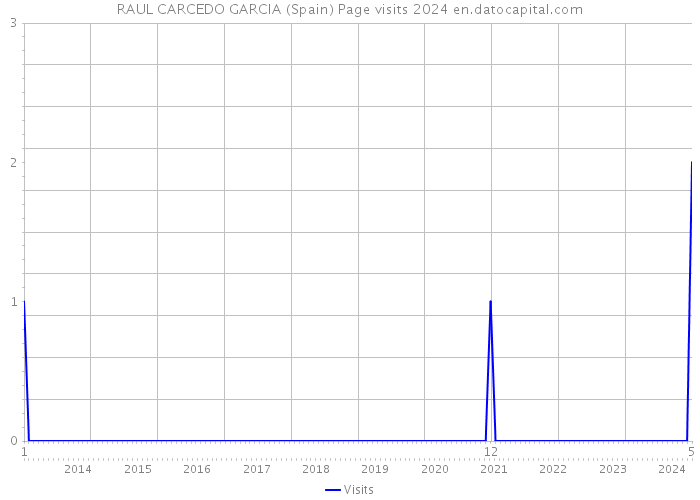 RAUL CARCEDO GARCIA (Spain) Page visits 2024 
