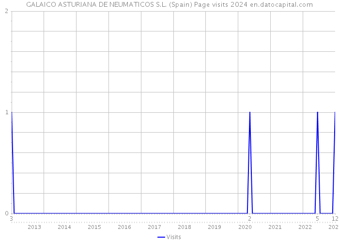GALAICO ASTURIANA DE NEUMATICOS S.L. (Spain) Page visits 2024 