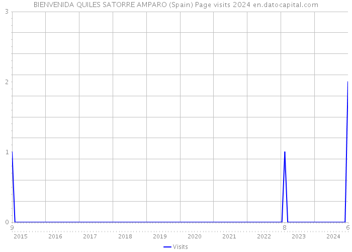 BIENVENIDA QUILES SATORRE AMPARO (Spain) Page visits 2024 