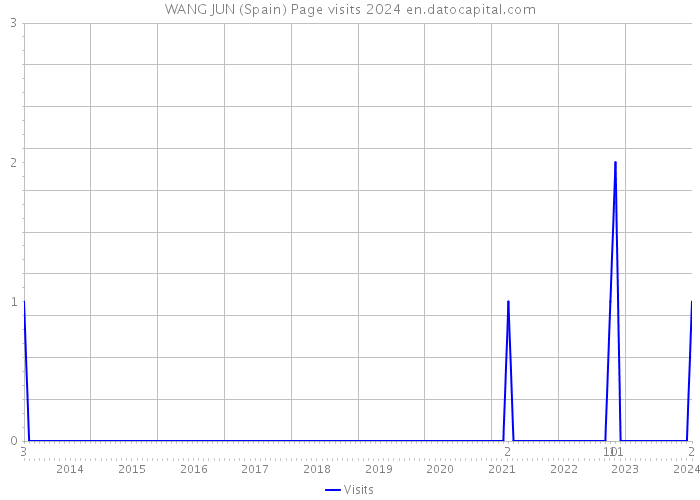 WANG JUN (Spain) Page visits 2024 