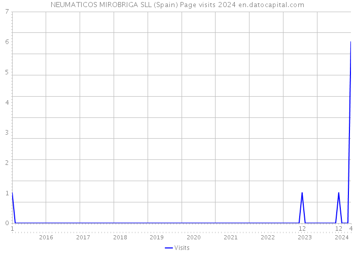 NEUMATICOS MIROBRIGA SLL (Spain) Page visits 2024 