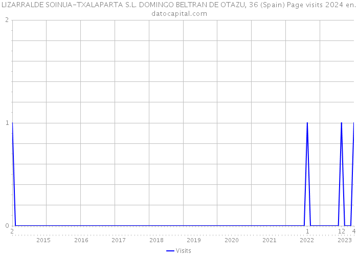 LIZARRALDE SOINUA-TXALAPARTA S.L. DOMINGO BELTRAN DE OTAZU, 36 (Spain) Page visits 2024 