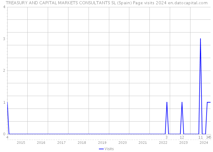TREASURY AND CAPITAL MARKETS CONSULTANTS SL (Spain) Page visits 2024 