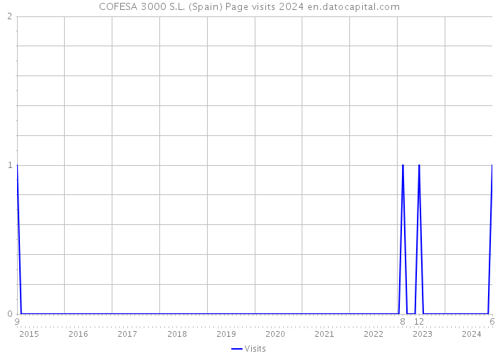 COFESA 3000 S.L. (Spain) Page visits 2024 