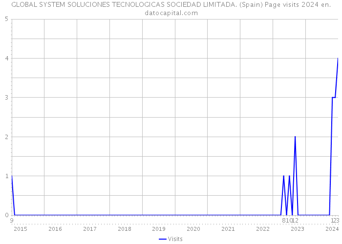 GLOBAL SYSTEM SOLUCIONES TECNOLOGICAS SOCIEDAD LIMITADA. (Spain) Page visits 2024 
