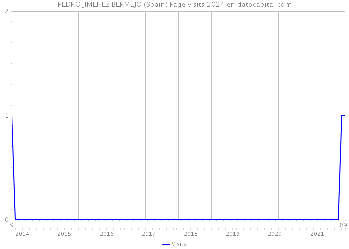 PEDRO JIMENEZ BERMEJO (Spain) Page visits 2024 