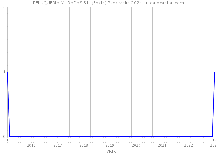 PELUQUERIA MURADAS S.L. (Spain) Page visits 2024 