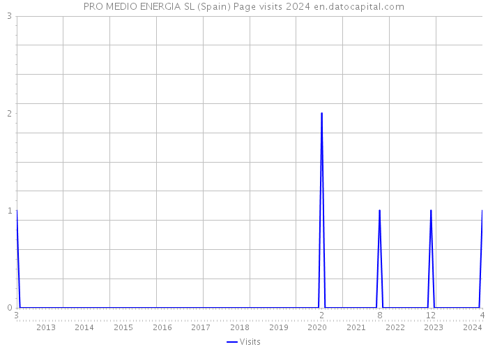 PRO MEDIO ENERGIA SL (Spain) Page visits 2024 