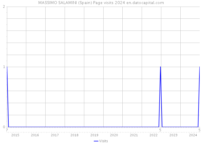 MASSIMO SALAMINI (Spain) Page visits 2024 