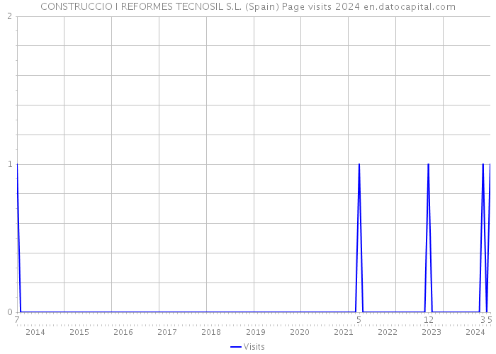 CONSTRUCCIO I REFORMES TECNOSIL S.L. (Spain) Page visits 2024 