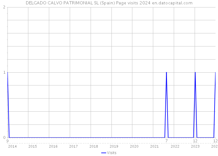 DELGADO CALVO PATRIMONIAL SL (Spain) Page visits 2024 