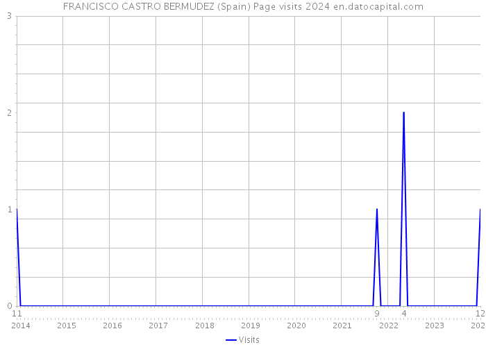 FRANCISCO CASTRO BERMUDEZ (Spain) Page visits 2024 