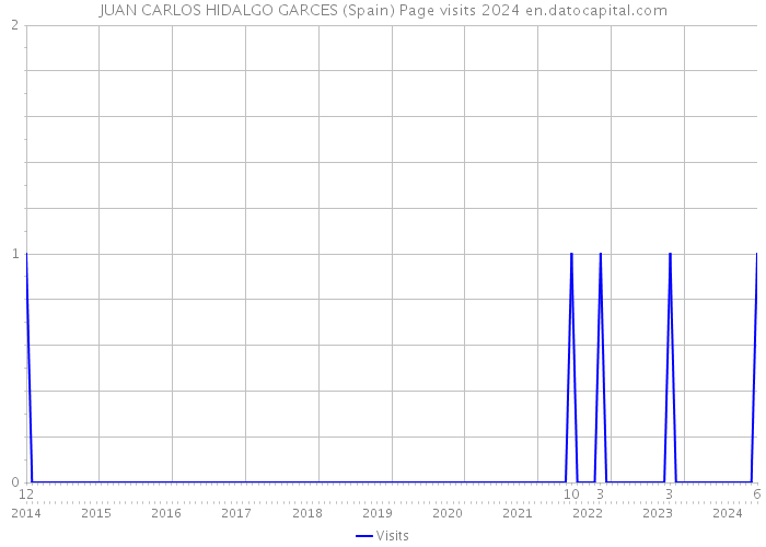 JUAN CARLOS HIDALGO GARCES (Spain) Page visits 2024 