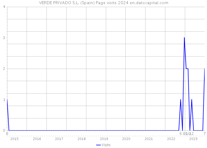 VERDE PRIVADO S.L. (Spain) Page visits 2024 