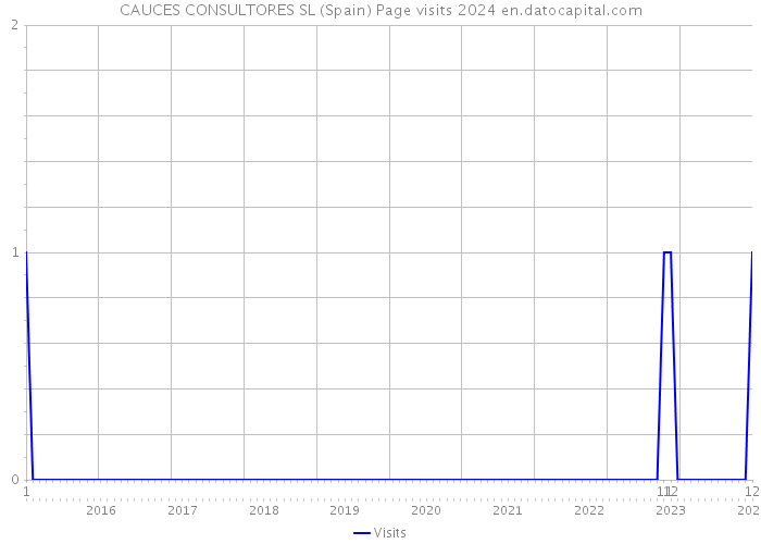 CAUCES CONSULTORES SL (Spain) Page visits 2024 