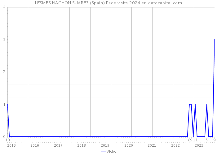 LESMES NACHON SUAREZ (Spain) Page visits 2024 