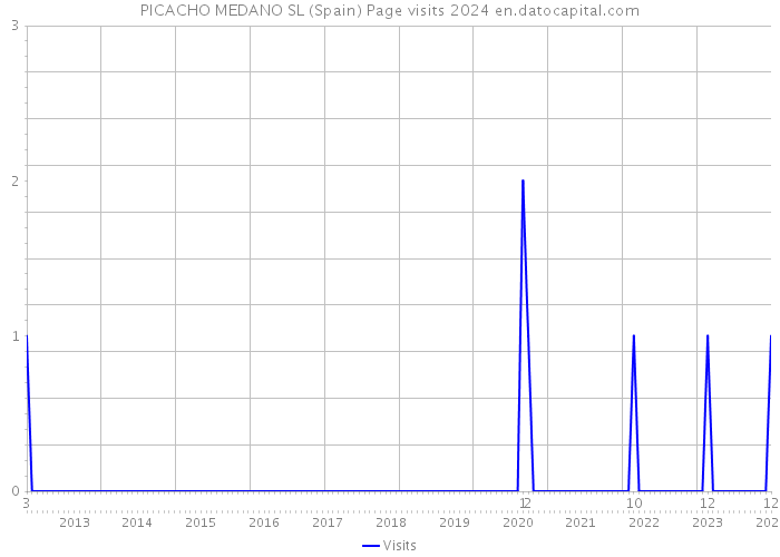 PICACHO MEDANO SL (Spain) Page visits 2024 
