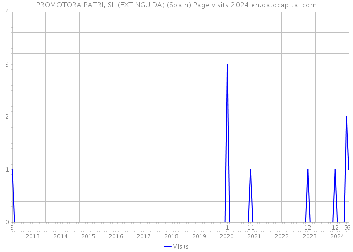 PROMOTORA PATRI, SL (EXTINGUIDA) (Spain) Page visits 2024 