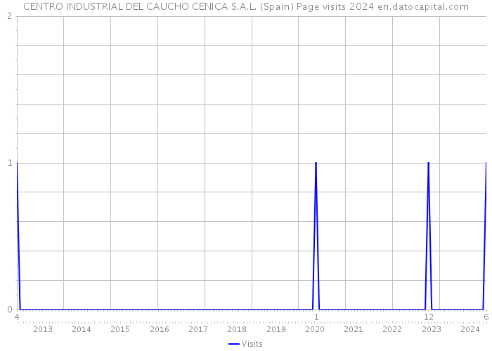 CENTRO INDUSTRIAL DEL CAUCHO CENICA S.A.L. (Spain) Page visits 2024 