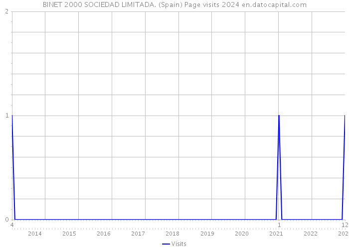 BINET 2000 SOCIEDAD LIMITADA. (Spain) Page visits 2024 