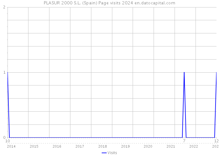 PLASUR 2000 S.L. (Spain) Page visits 2024 