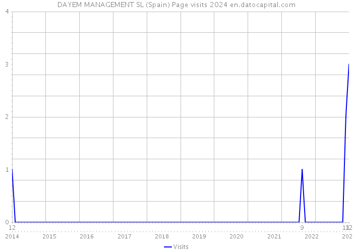 DAYEM MANAGEMENT SL (Spain) Page visits 2024 