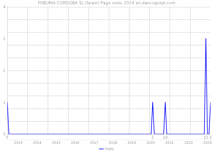 PNEUMA CORDOBA SL (Spain) Page visits 2024 