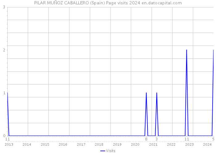 PILAR MUÑOZ CABALLERO (Spain) Page visits 2024 