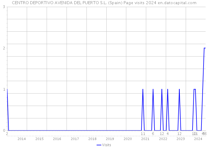 CENTRO DEPORTIVO AVENIDA DEL PUERTO S.L. (Spain) Page visits 2024 