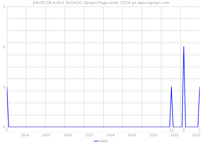 DAVID DE AVILA SAYAGO (Spain) Page visits 2024 