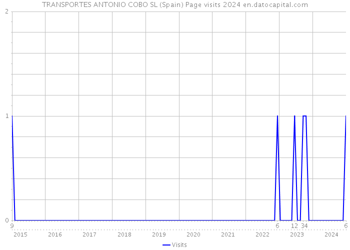 TRANSPORTES ANTONIO COBO SL (Spain) Page visits 2024 