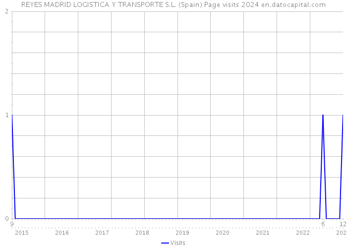 REYES MADRID LOGISTICA Y TRANSPORTE S.L. (Spain) Page visits 2024 