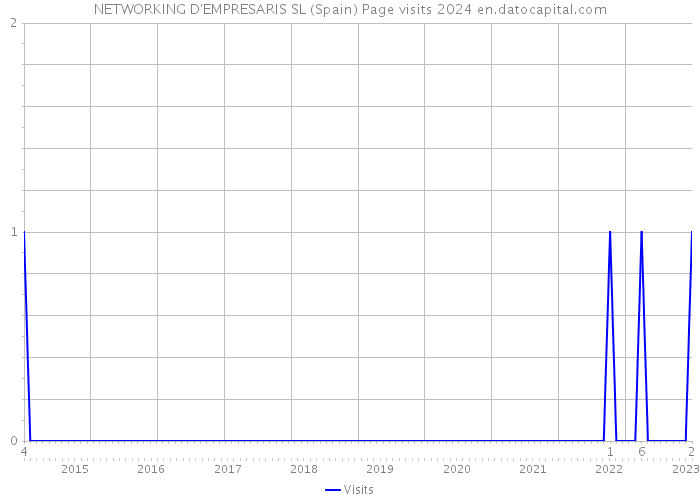 NETWORKING D'EMPRESARIS SL (Spain) Page visits 2024 