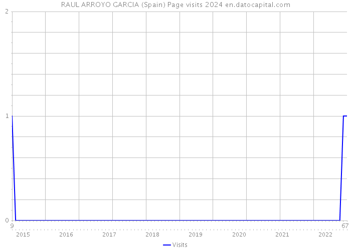 RAUL ARROYO GARCIA (Spain) Page visits 2024 