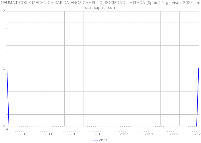 NEUMATICOS Y MECANICA RAPIDA HNOS CAMPILLO, SOCIEDAD LIMITADA (Spain) Page visits 2024 