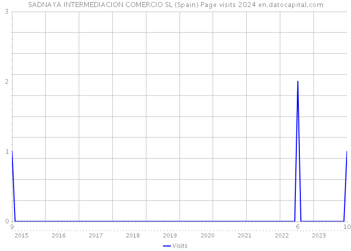 SADNAYA INTERMEDIACION COMERCIO SL (Spain) Page visits 2024 