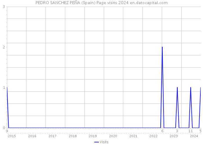 PEDRO SANCHEZ PEÑA (Spain) Page visits 2024 