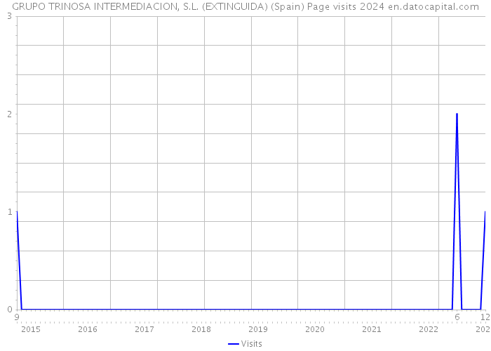 GRUPO TRINOSA INTERMEDIACION, S.L. (EXTINGUIDA) (Spain) Page visits 2024 