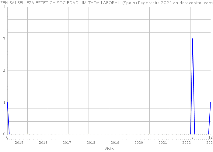 ZEN SAI BELLEZA ESTETICA SOCIEDAD LIMITADA LABORAL. (Spain) Page visits 2024 