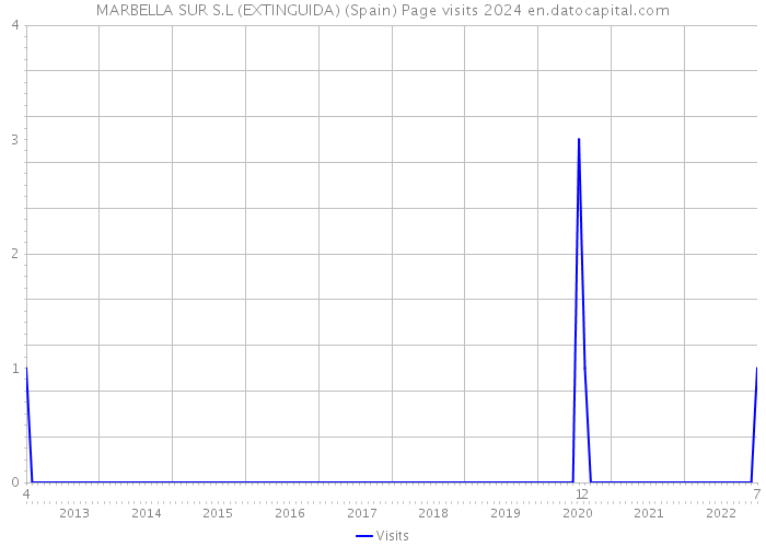 MARBELLA SUR S.L (EXTINGUIDA) (Spain) Page visits 2024 