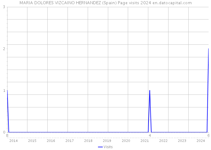 MARIA DOLORES VIZCAINO HERNANDEZ (Spain) Page visits 2024 