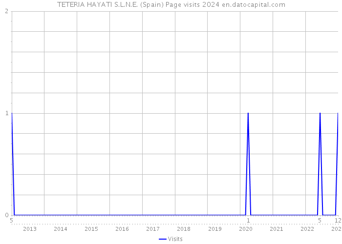 TETERIA HAYATI S.L.N.E. (Spain) Page visits 2024 