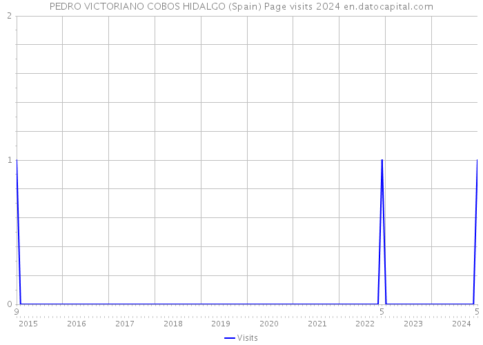 PEDRO VICTORIANO COBOS HIDALGO (Spain) Page visits 2024 