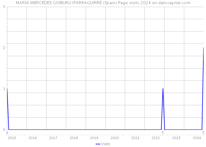 MARIA MERCEDES GOIBURU IPARRAGUIRRE (Spain) Page visits 2024 