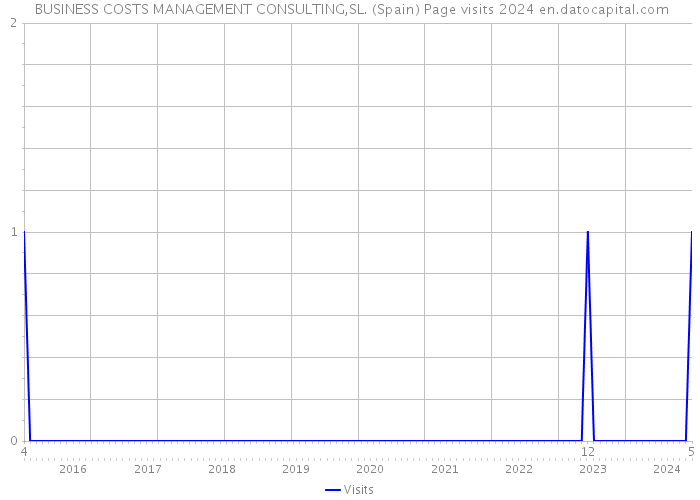  BUSINESS COSTS MANAGEMENT CONSULTING,SL. (Spain) Page visits 2024 