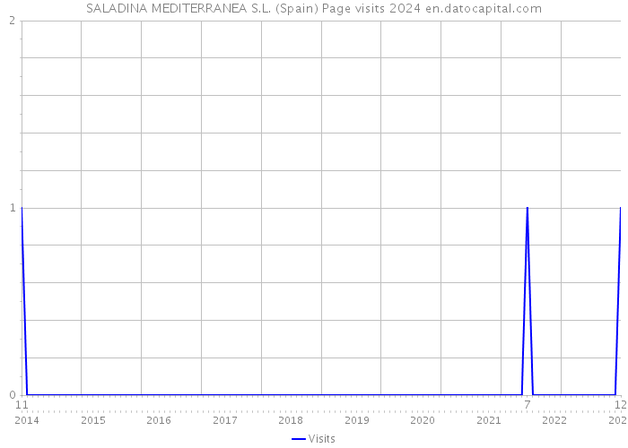 SALADINA MEDITERRANEA S.L. (Spain) Page visits 2024 