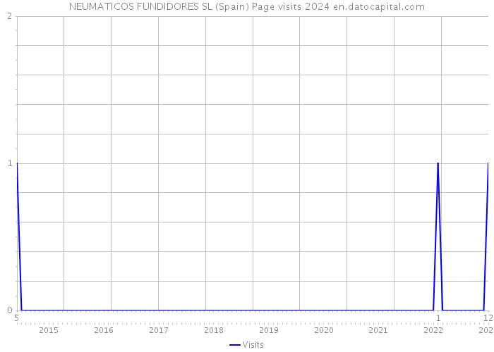 NEUMATICOS FUNDIDORES SL (Spain) Page visits 2024 