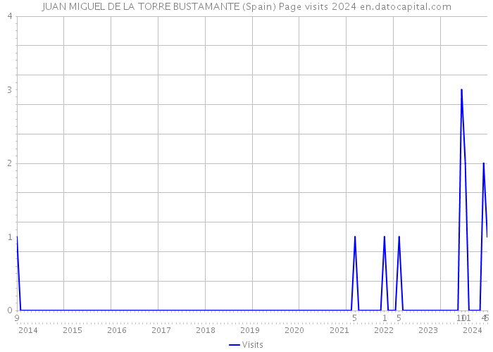 JUAN MIGUEL DE LA TORRE BUSTAMANTE (Spain) Page visits 2024 